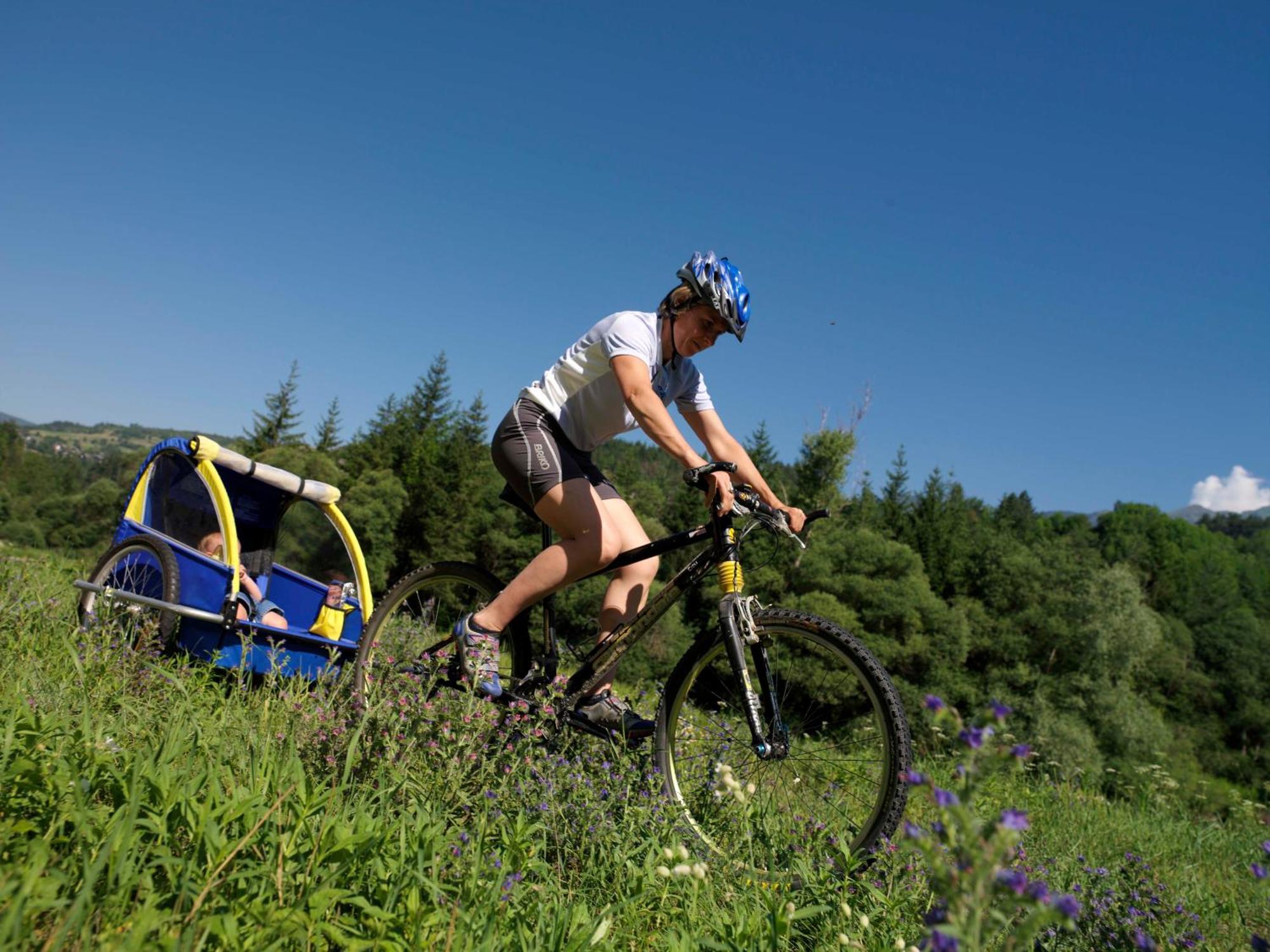 Apartahotel Wellness Di Bosco Tesero