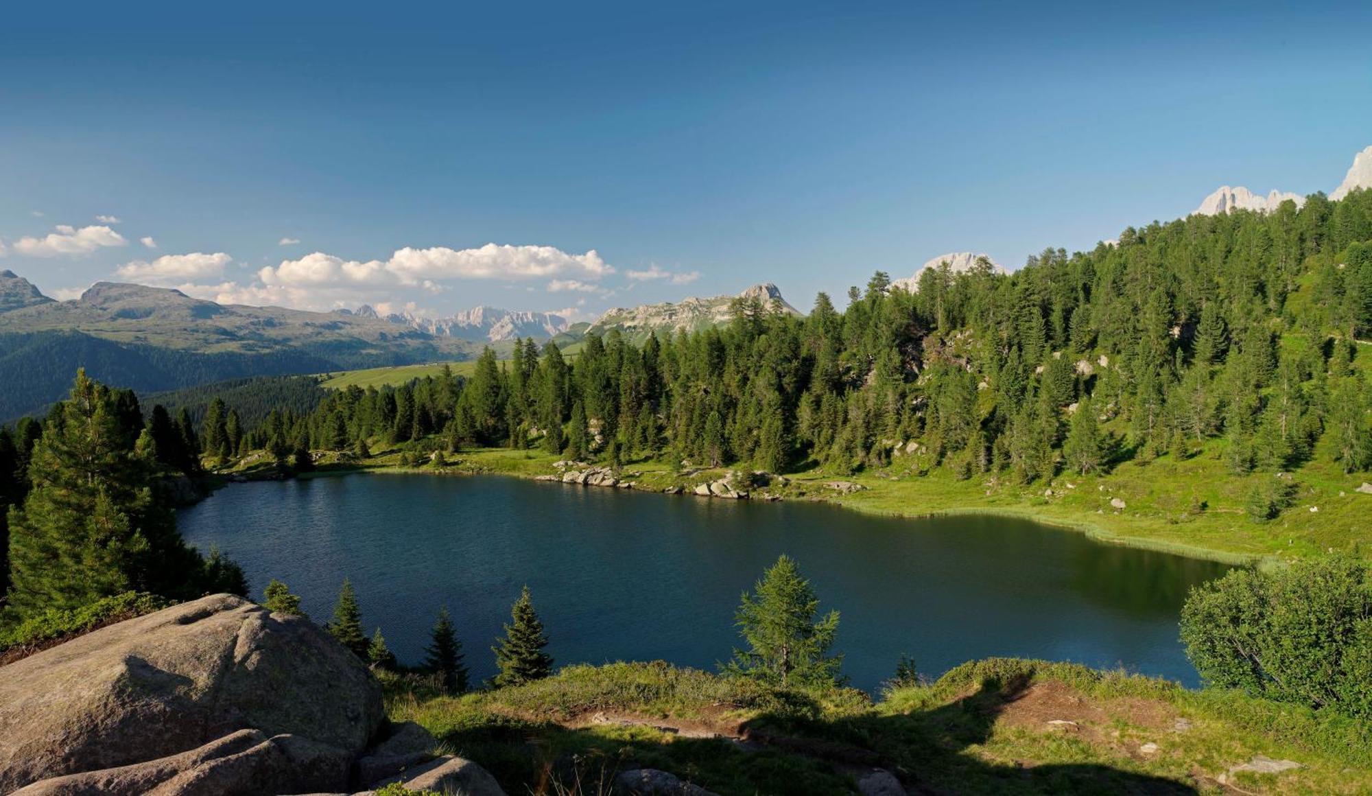 Wellness Di Bosco Apartahotel