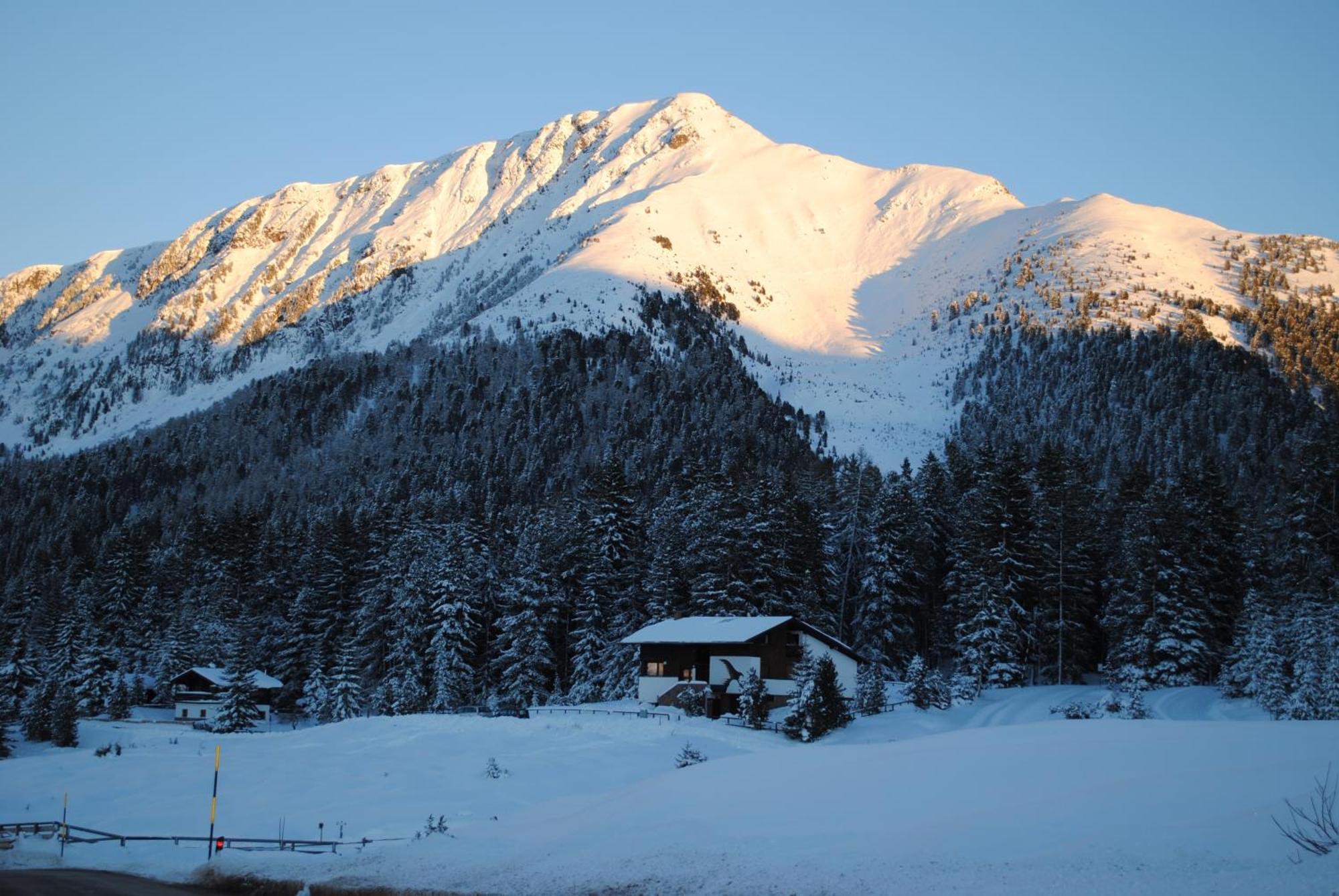 Wellness Di Bosco Apartahotel Tesero